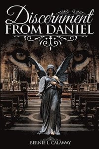 bokomslag Discernment from Daniel