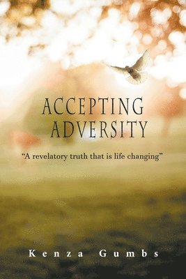 bokomslag Accepting Adversity