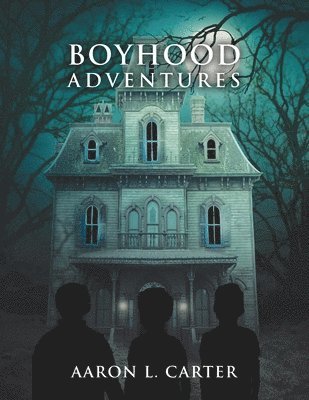 bokomslag Boyhood Adventures