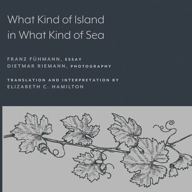 bokomslag What Kind of Island in What Kind of Sea?