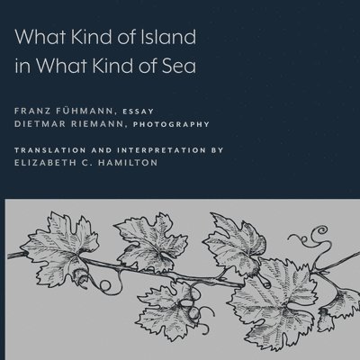 What Kind of Island in What Kind of Sea? 1