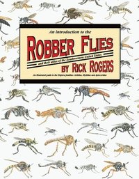 bokomslag An Introduction to Robber Flies and Their Allies: An Illustrated Guide to the Diptera Families Asilidae Mydidae & Apioceridae Volume 1