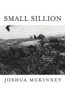 Joshua McKinney - Small Sillion, Häftad