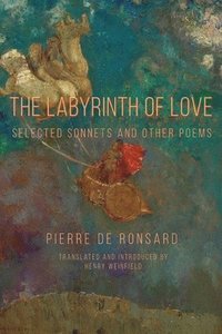 bokomslag Labyrinth of Love