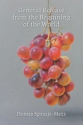 Donna Spruijt-Metz - General Release from the Beginning of the World, Häftad