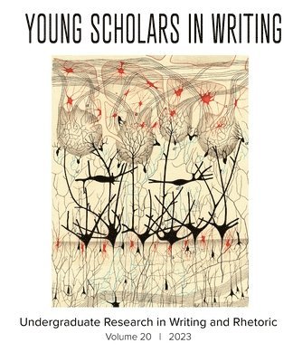 bokomslag Young Scholars in Writing