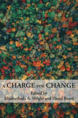 Elizabethada A Wright, David Beard, Elizabethada A. Wright - Charge for Change, Häftad