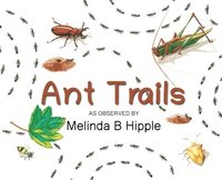bokomslag Ant Trails