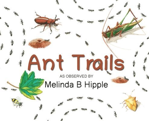 Ant Trails 1