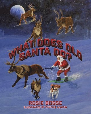 bokomslag What Does Old Santa Do?