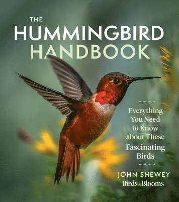 bokomslag The Hummingbird Handbook