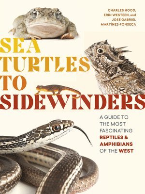 Sea Turtles to Sidewinders 1