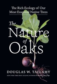 bokomslag The Nature of Oaks