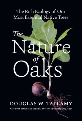 bokomslag The Nature of Oaks