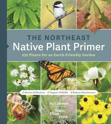 Northeast Native Plant Primer 1