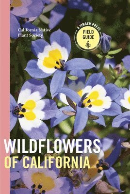 Wildflowers of California 1