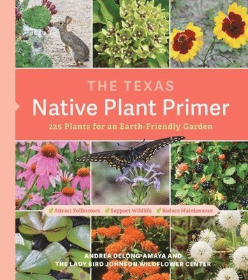 bokomslag Texas Native Plant Primer