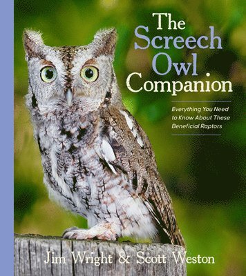 bokomslag Screech Owl Companion