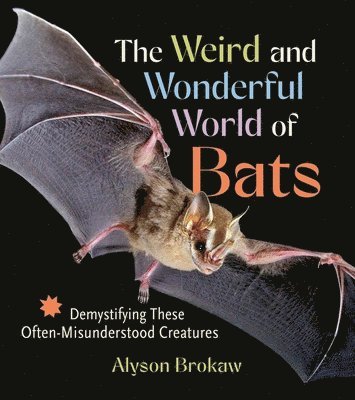 Alyson Brokaw - Weird and Wonderful World of Bats, Häftad