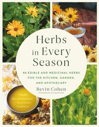 bokomslag Herbs in Every Season