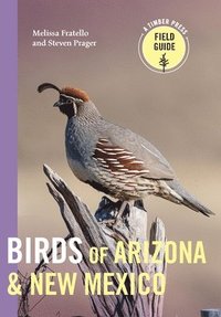 bokomslag Birds of Arizona and New Mexico