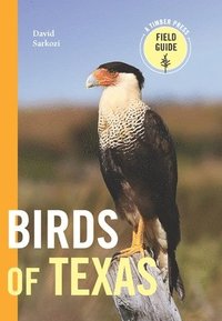 bokomslag Birds of Texas: A Timber Press Field Guide