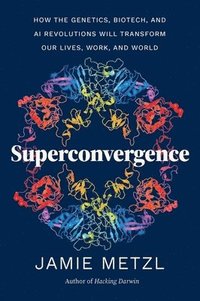 bokomslag Superconvergence