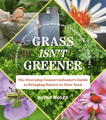 bokomslag Grass Isn't Greener