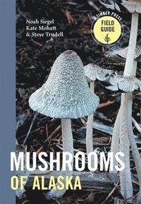 bokomslag Mushrooms of Alaska