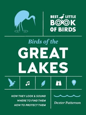 bokomslag Birds of the Great Lakes