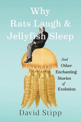 David Stipp - Why Rats Laugh and Jellyfish Sleep, Inbunden