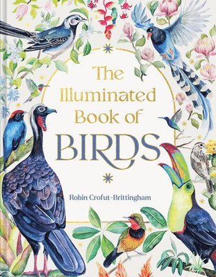 bokomslag Illuminated Book of Birds
