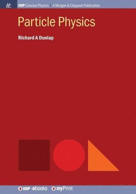 bokomslag Particle Physics