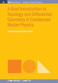 bokomslag Brief Introduction to Topology and Differential Geometry in Condensed Matter Physics