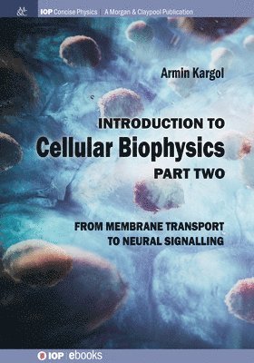 bokomslag Introduction to Cellular Biophysics, Volume 2