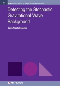 bokomslag Detecting the Stochastic Gravitational-Wave Background