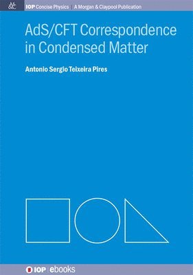 Antonio S.T. Pires, Antonio S. T. Pires, Antonio S T Pires - AdS/CFT Correspondence in Condensed Matter, Inbunden
