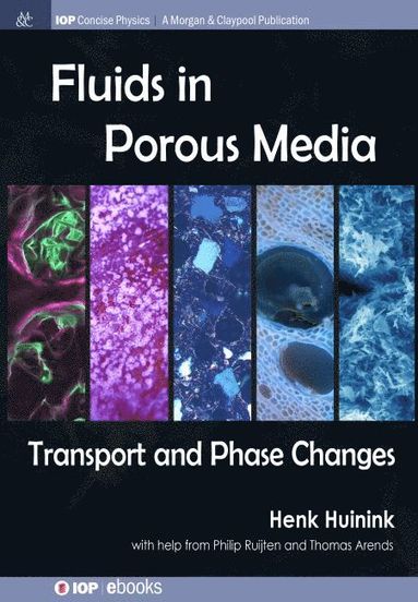 bokomslag Fluids in Porous Media