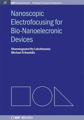 Nanoscopic Electrofocusing for Bio-Nanoelectronic Devices 1