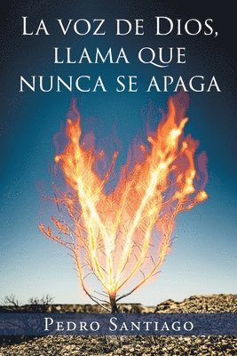 Voz de Dios Llama que Nunca se Apaga