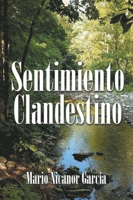 Sentimiento Clandestino 1