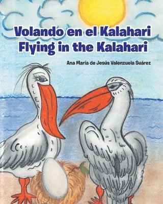 Volando en el Kalahari - Flying in the Kalahari 1