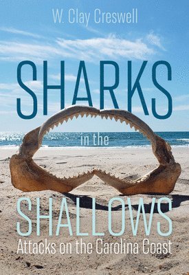 Sharks in the Shallows 1