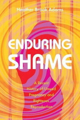 bokomslag Enduring Shame