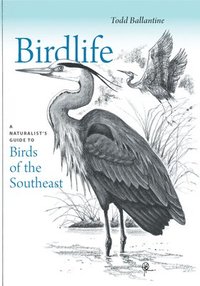 bokomslag Birdlife