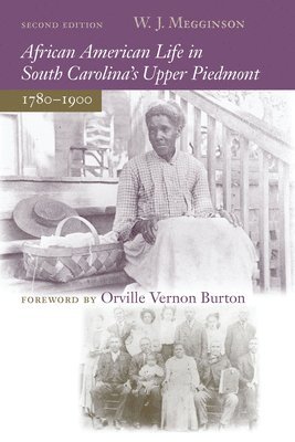bokomslag African American Life in South Carolina's Upper Piedmont, 1780-1900