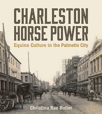 Charleston Horse Power 1