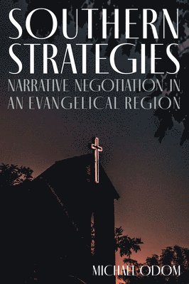 bokomslag Southern Strategies