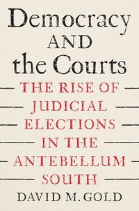 bokomslag Democracy and the Courts