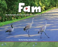 bokomslag Fam: The Remarkable Story of a Canada Goose Adopted by Sandhill Cranes